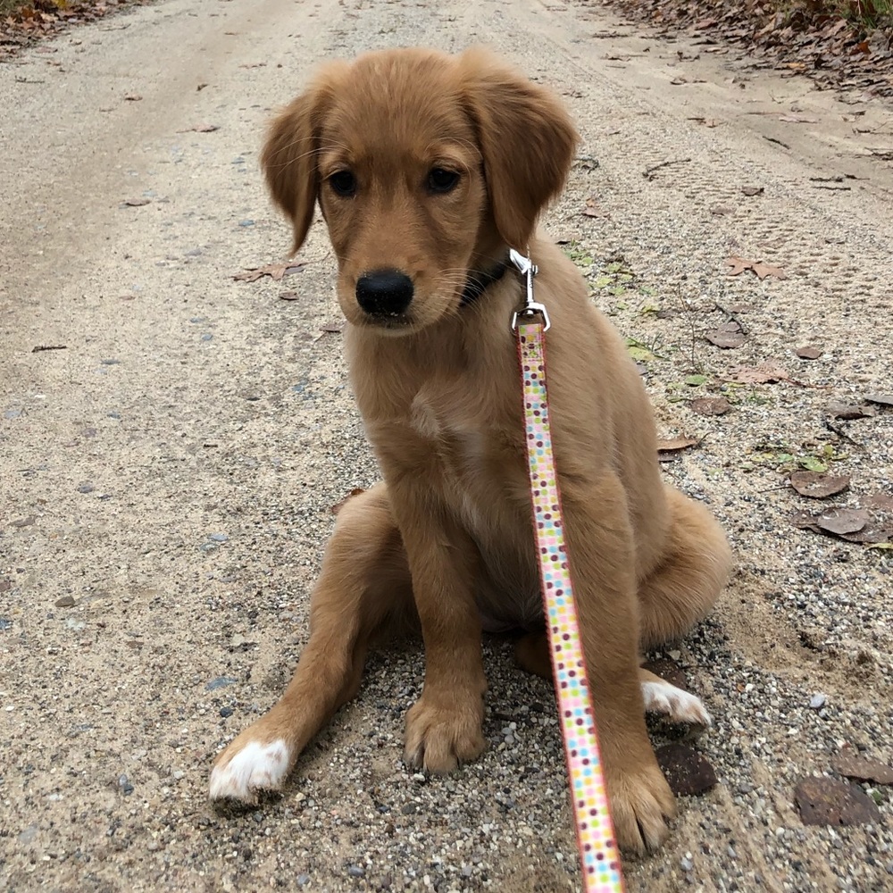 Meet your Posher, Cianna